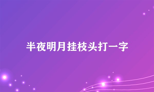 半夜明月挂枝头打一字