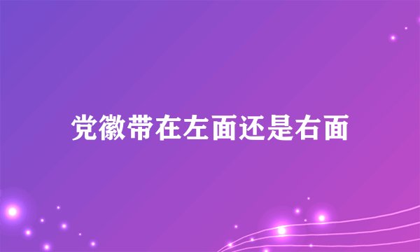 党徽带在左面还是右面