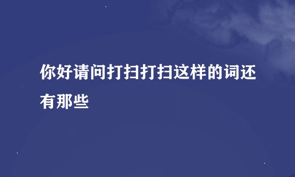 你好请问打扫打扫这样的词还有那些