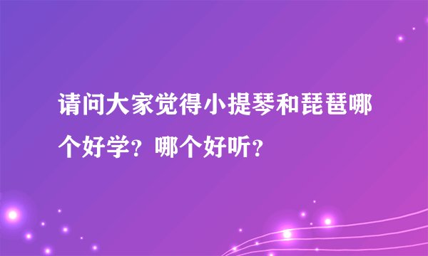 请问大家觉得小提琴和琵琶哪个好学？哪个好听？