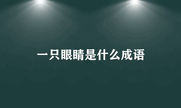 一只眼睛是什么成语