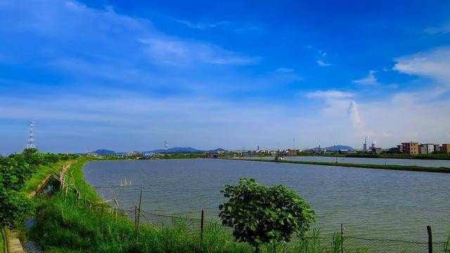 番禺区十大免费景点