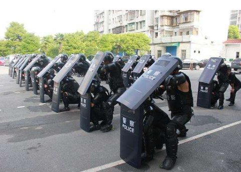 特巡警是做什么的