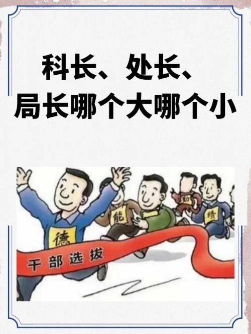 科长、处长、局长哪个大哪个小？