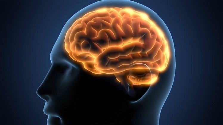 重点支援大西北,猜一个字