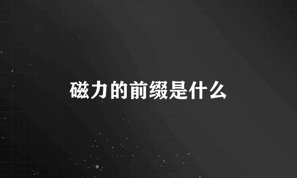 磁力的前缀是什么