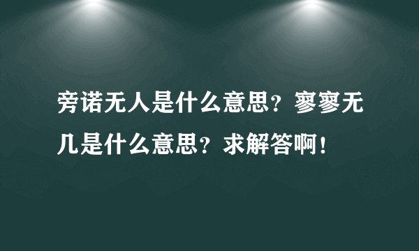 旁诺无人是什么意思？寥寥无几是什么意思？求解答啊！
