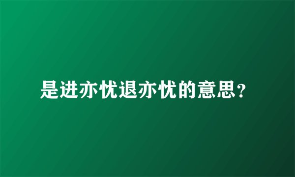 是进亦忧退亦忧的意思？