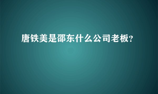 唐铁美是邵东什么公司老板？