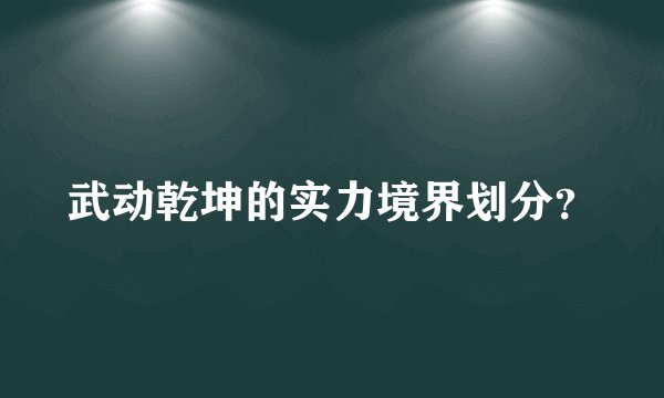 武动乾坤的实力境界划分?