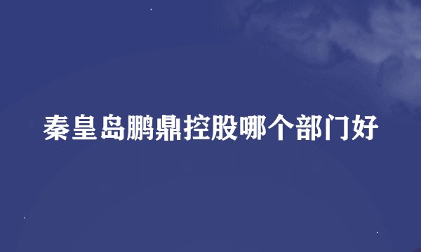 秦皇岛鹏鼎控股哪个部门好
