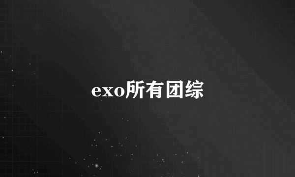 exo所有团综