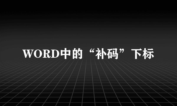 WORD中的“补码”下标