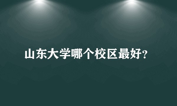 山东大学哪个校区最好？