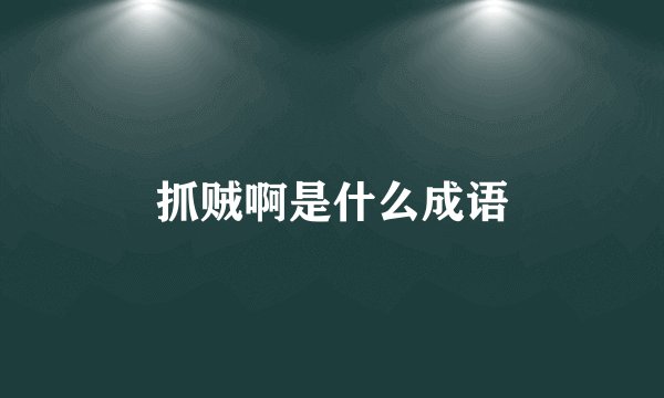 抓贼啊是什么成语