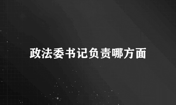 政法委书记负责哪方面