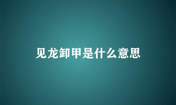 见龙卸甲是什么意思