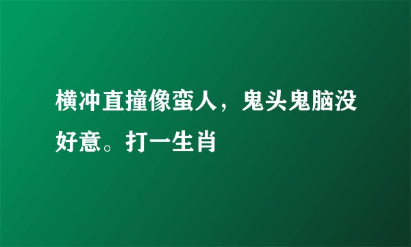 横冲直撞像蛮人，鬼头鬼脑没好意。打一生肖
