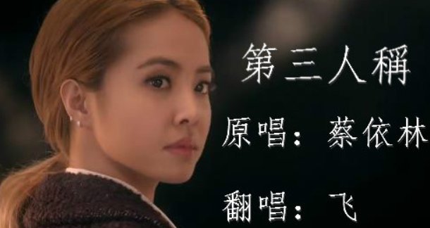 第三人称 这首歌 想表达什么意思