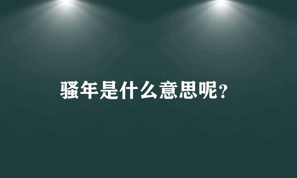 骚年是什么意思呢？