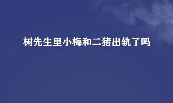 树先生里小梅和二猪出轨了吗