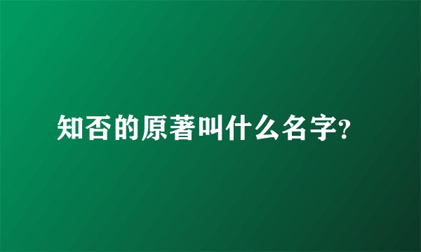 知否的原著叫什么名字？