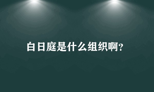 白日庭是什么组织啊？