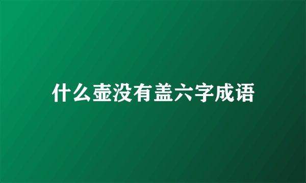 什么壶没有盖六字成语