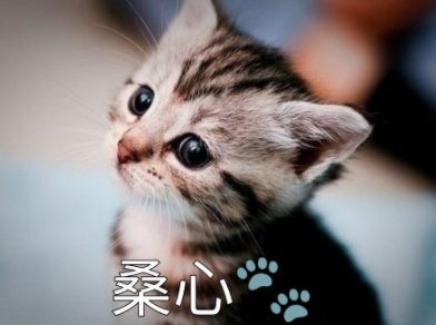 女的说qwq什么意思内涵？