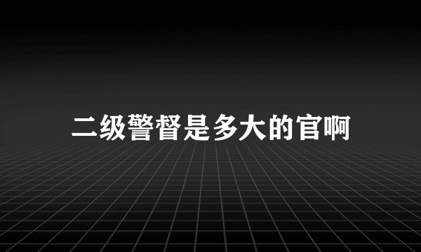 二级警督是多大的官啊