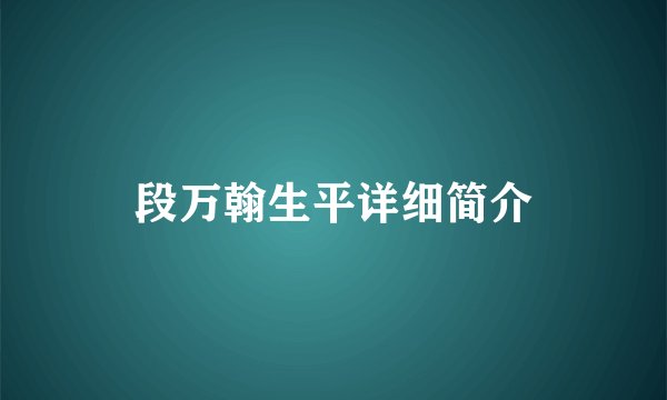 段万翰生平详细简介