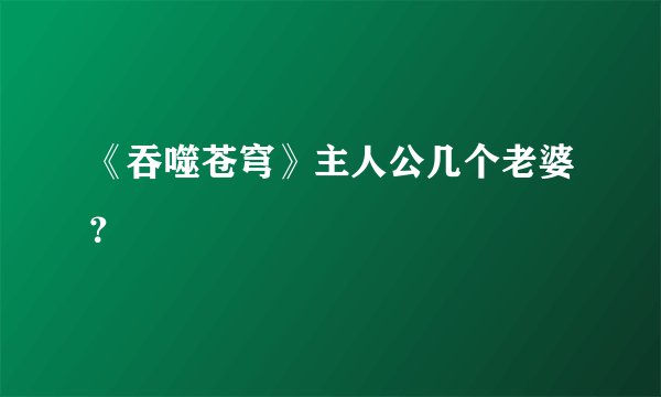 《吞噬苍穹》主人公几个老婆？