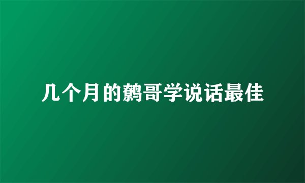 几个月的鹩哥学说话最佳