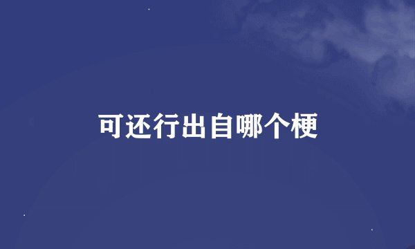 可还行出自哪个梗
