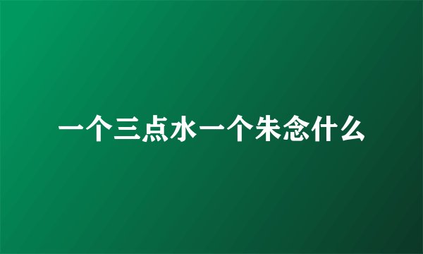 一个三点水一个朱念什么