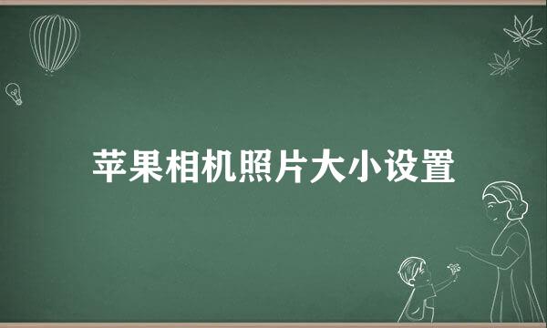苹果相机照片大小设置