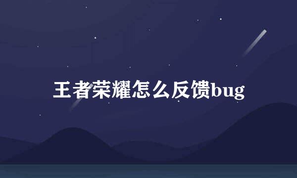 王者荣耀怎么反馈bug