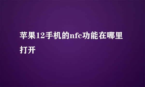 苹果12手机的nfc功能在哪里打开