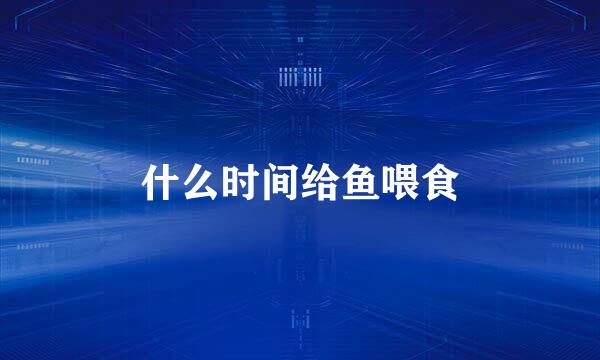 什么时间给鱼喂食
