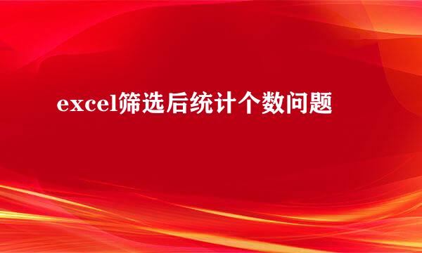 excel筛选后统计个数问题