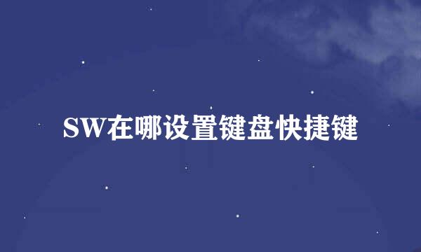 SW在哪设置键盘快捷键