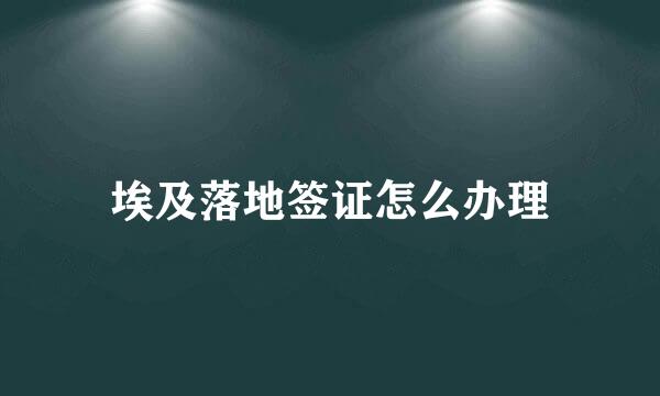 埃及落地签证怎么办理