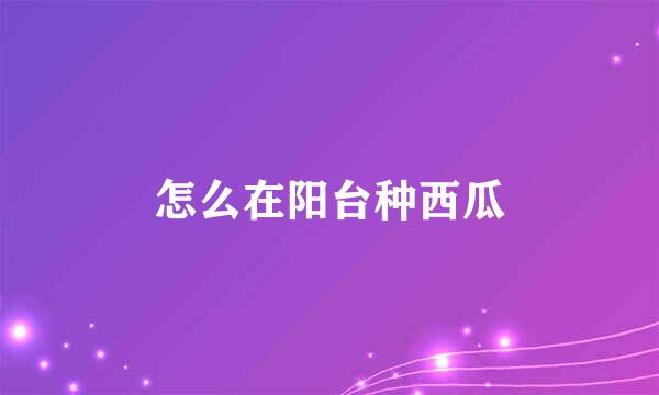 怎么在阳台种西瓜
