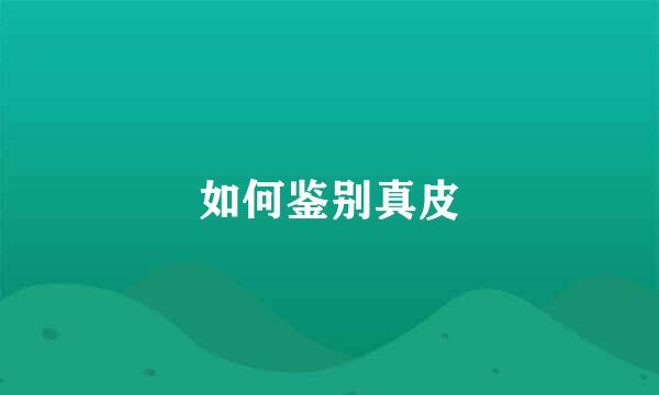 如何鉴别真皮