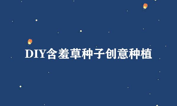DIY含羞草种子创意种植