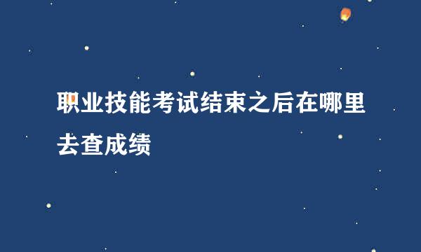 职业技能考试结束之后在哪里去查成绩