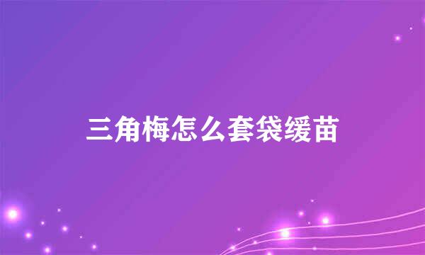 三角梅怎么套袋缓苗