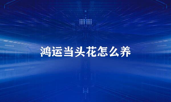 鸿运当头花怎么养