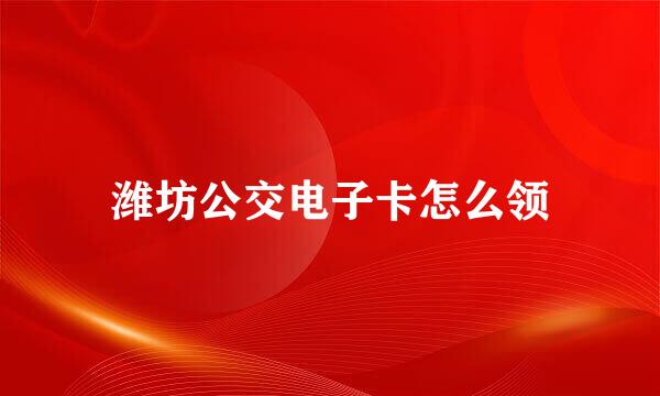 潍坊公交电子卡怎么领