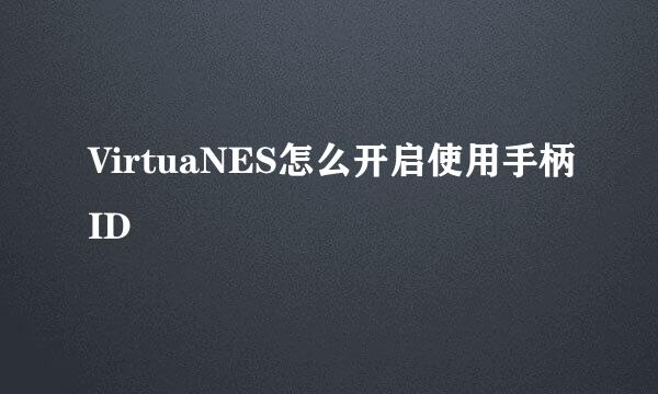 VirtuaNES怎么开启使用手柄ID